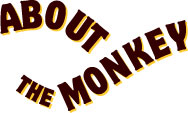Mad Monkey Music: About the Monkey